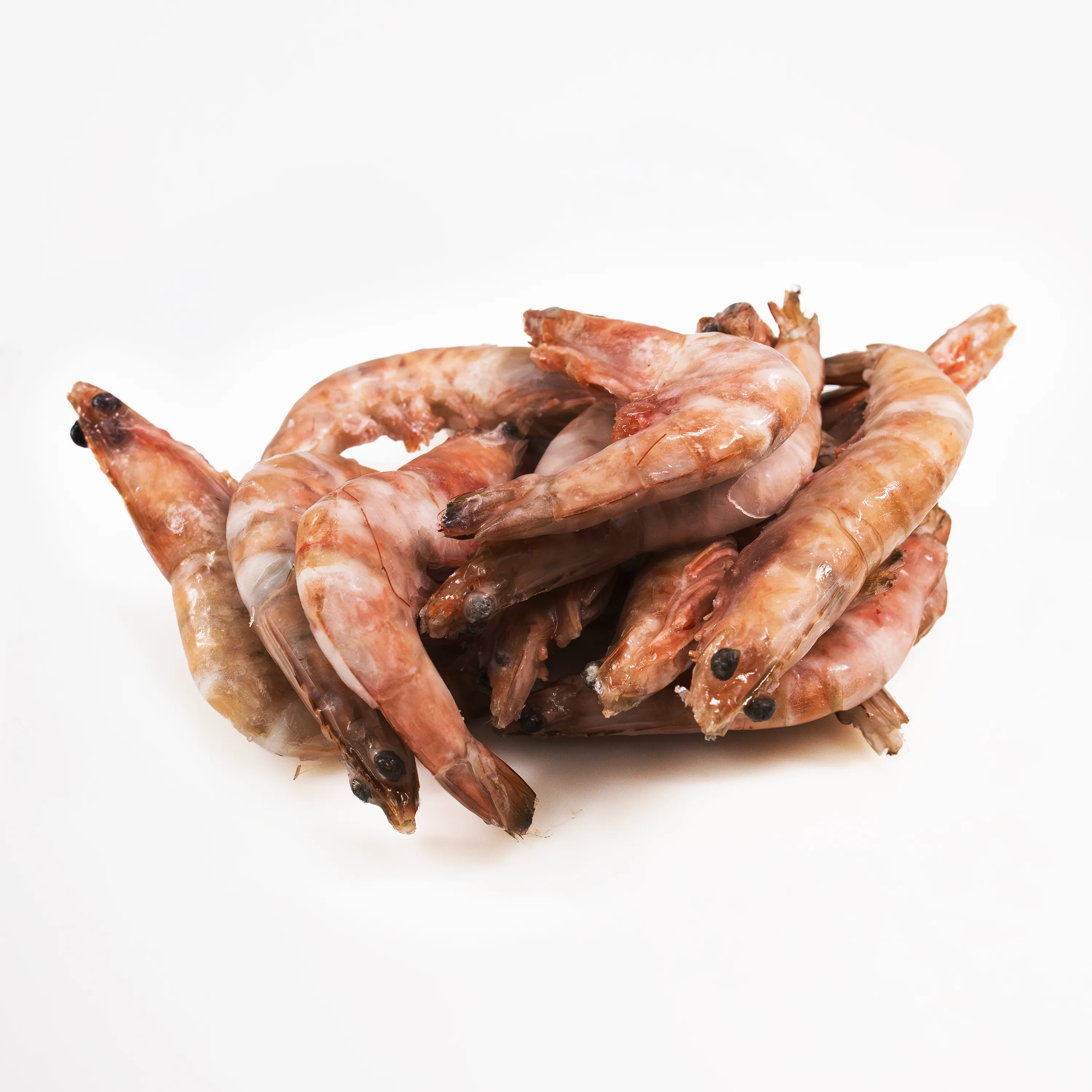 Shrimp pink whole 16_20 menor